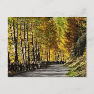 Autumn road postcard