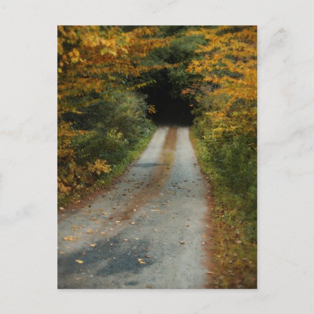 Autumn Road postcard (Front)