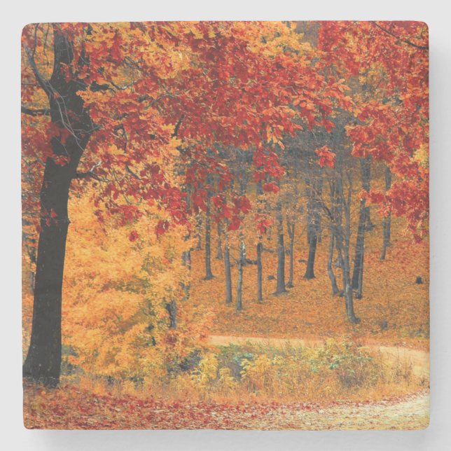 Autumn Road Stone Coaster (Front)