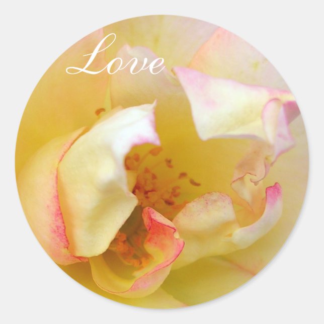 Autumn Rose Classic Round Sticker (Front)