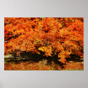 Autumn Rust Poster