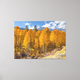 Autumn Scene Canvas Print