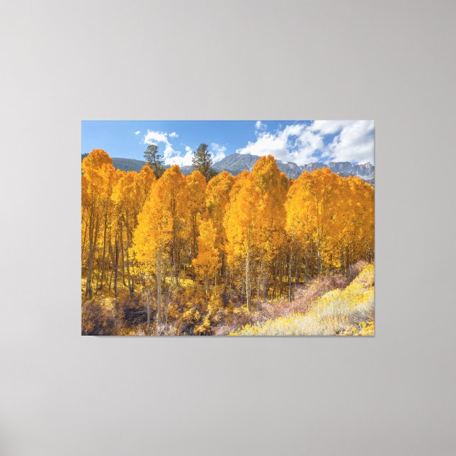 Autumn Scene Canvas Print (Front)