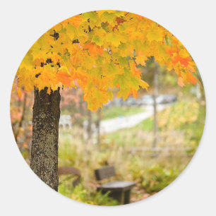 Autumn Scene Classic Round Sticker
