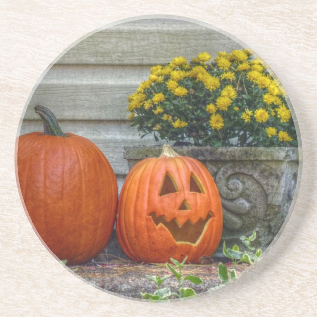 Autumn Scene Coaster (Front)