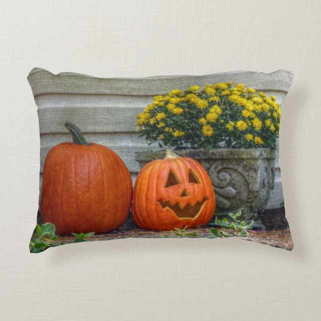 Autumn Scene Decorative Cushion (Front)