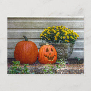 Autumn Scene Postcard