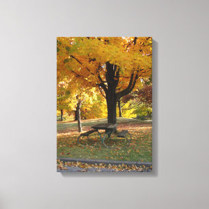 Autumn scene with picnic table. canvas print