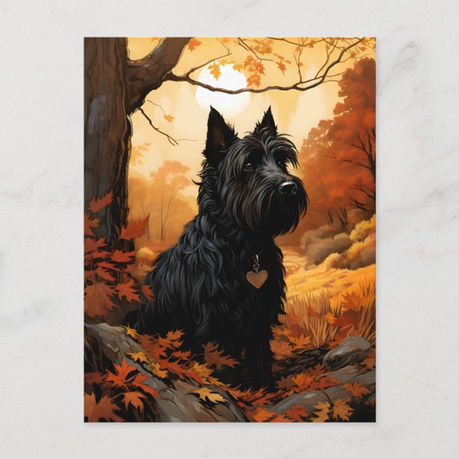 Autumn Scottish Terrier Postcard (Front)