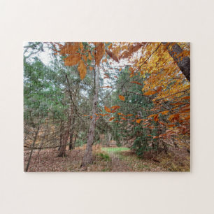 Autumn season jigsaw puzzle
