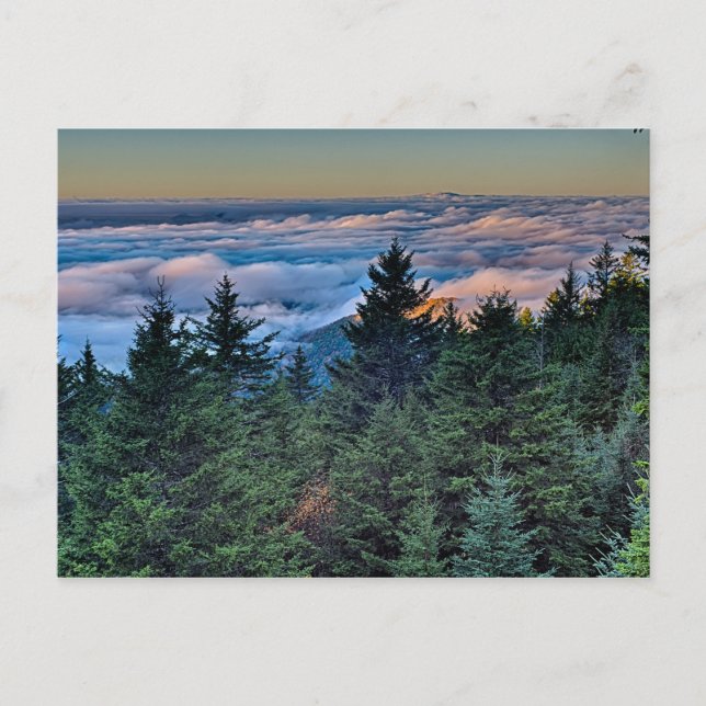 autumn season morning on blue ridge parkway postcard (Front)