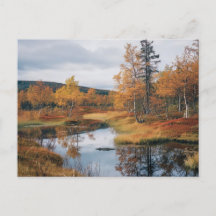 Autumn Serenade Finnish Ruska Reflections