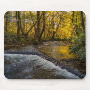 Autumn Serenity Forest Mousepad