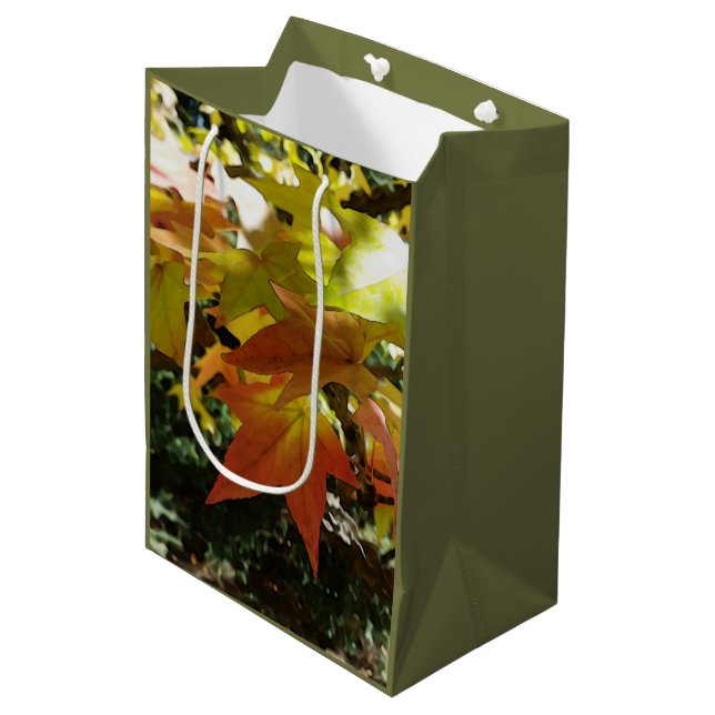 Autumn shades medium gift bag (Front Angled)