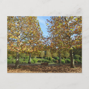 Autumn: Shinjuku Gyoen National Garden, Tokyo Postcard