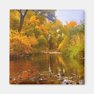 Autumn Shore Magnet