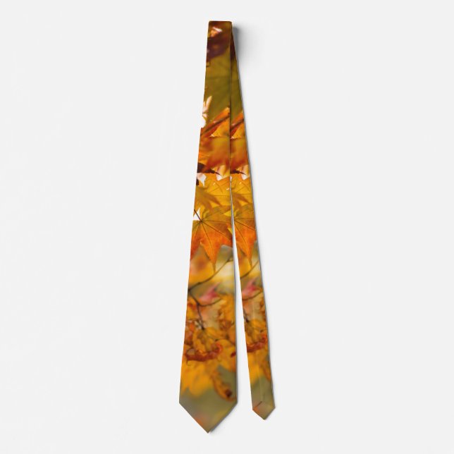 Autumn - Simple harmony Tie (Front)