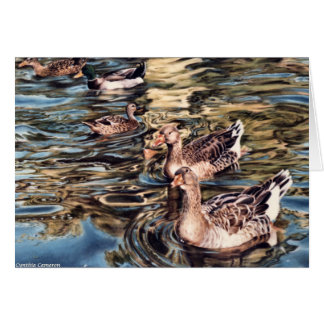 Autumn Song - geese and ducks in pond