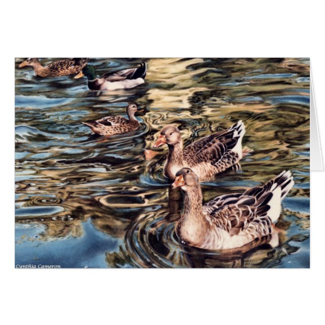 Autumn Song - geese and ducks in pond (Front Horizontal)