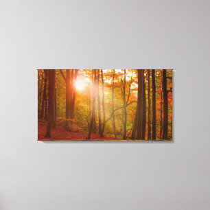 Autumn Splendour Canvas Print