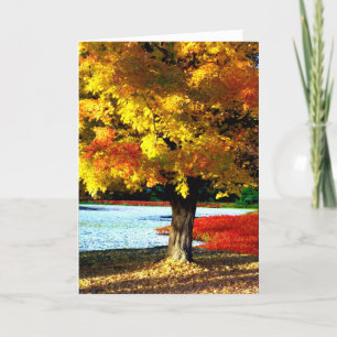 Autumn Splendour Card
