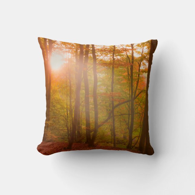 Autumn Splendour Cushion (Front)