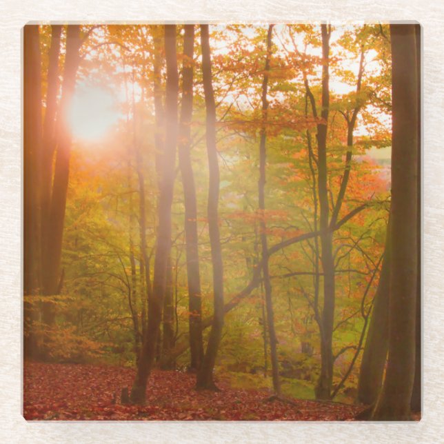 Autumn Splendour Glass Coaster (Front)