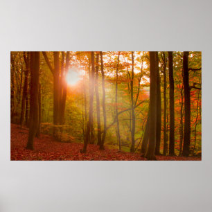 Autumn Splendour Poster