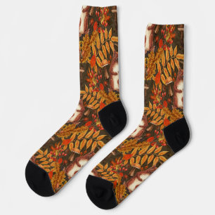 Autumn squirrel on dark brown socks