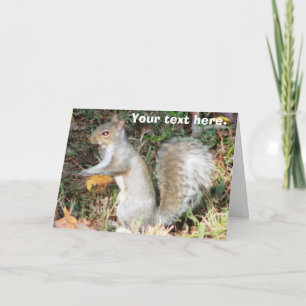 Autumn Squirrel Template