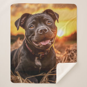 Autumn Staffie Sherpa Blanket