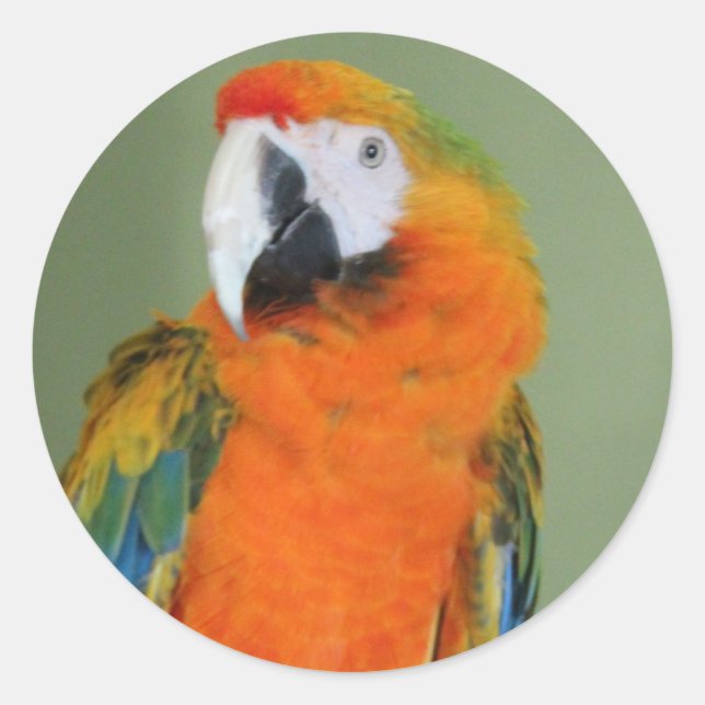 Autumn sticker (Front)