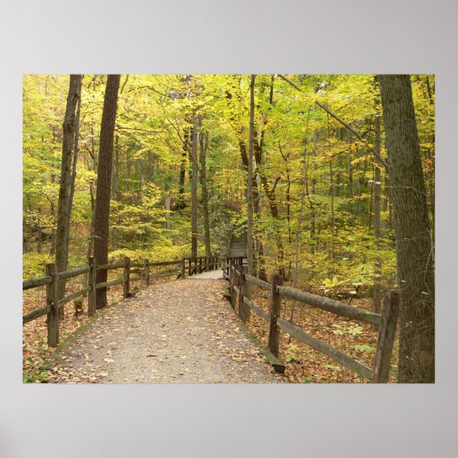 Autumn Stillness Poster (Front)