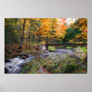 Autumn Stream Poster