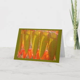 Autumn Sumac Leafs Blank Note Card