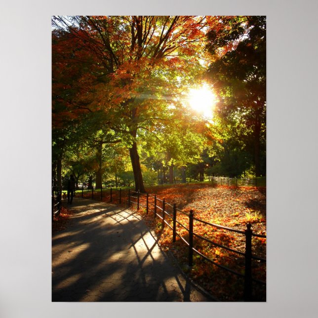Autumn Sun in Central Park, NYC, Medium Poster (Front)
