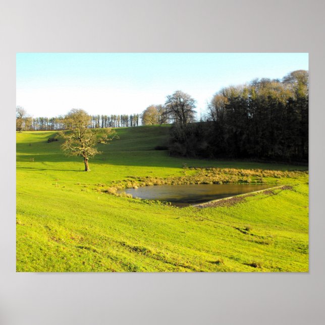 Autumn sun in Somerset Poster (Front)