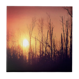 Autumn Sun Tile