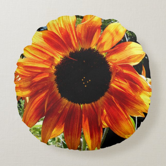 Autumn Sunflower Pillow (Front)