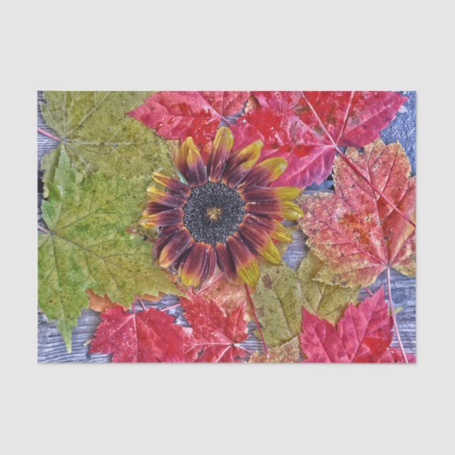 Autumn Sunflower Red Yellow Maple Leaves Wood Tissue Paper (Front)