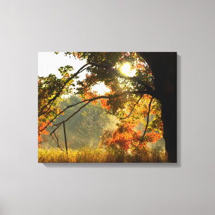 Autumn Sunrise Canvas Print