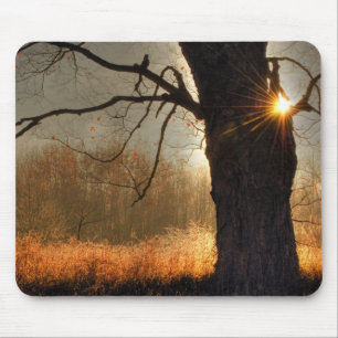 Autumn Sunrise Mouse Mat