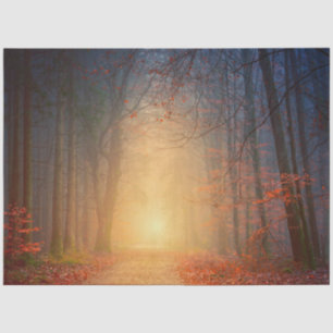 Autumn Sunset in the Forest Tissue Paper
