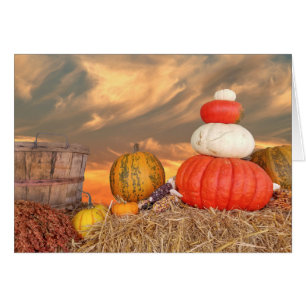 Autumn sunset with pumpkins