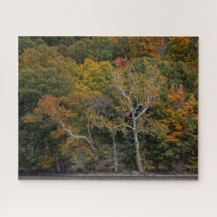 Autumn Sycamores Jigsaw Puzzle
