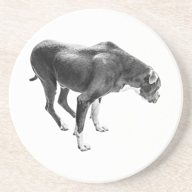 Autumn Table Guardian Coaster (Front)