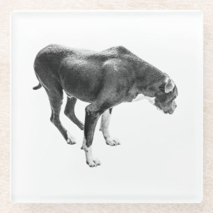 Autumn Table Guardian Glass Coaster