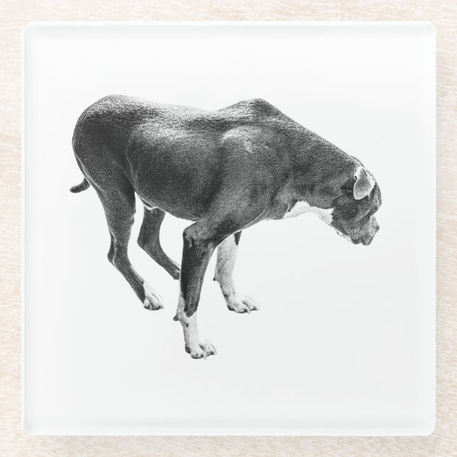 Autumn Table Guardian Glass Coaster (Front)