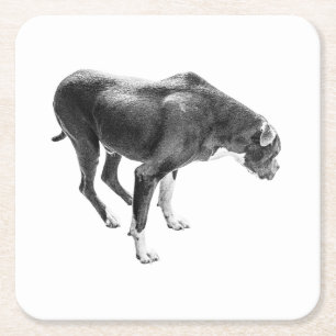 Autumn Table Guardian Square Paper Coaster