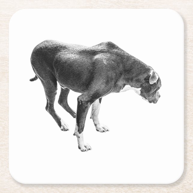 Autumn Table Guardian Square Paper Coaster (Front)